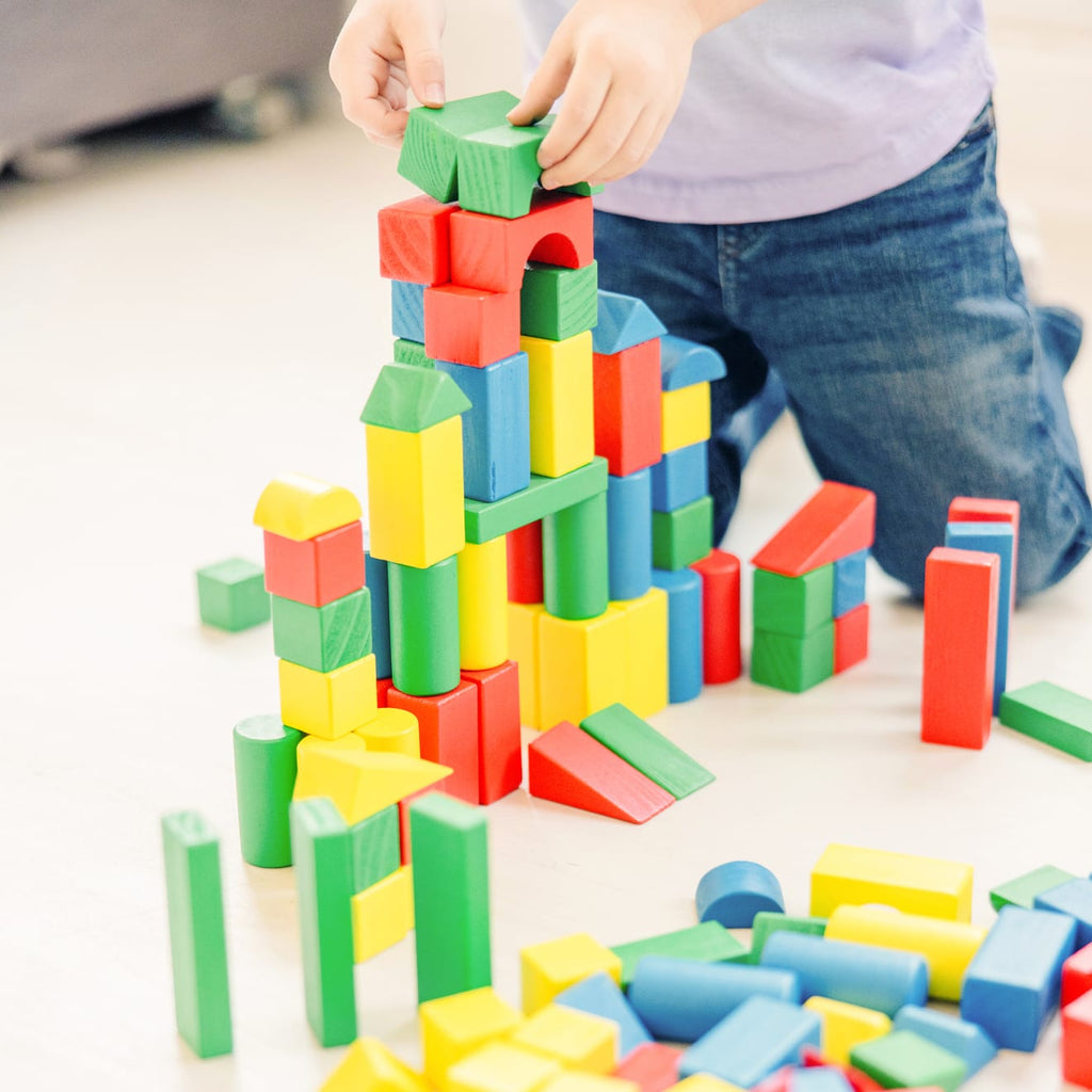 Educational 200 Piece Wood Blocks Set