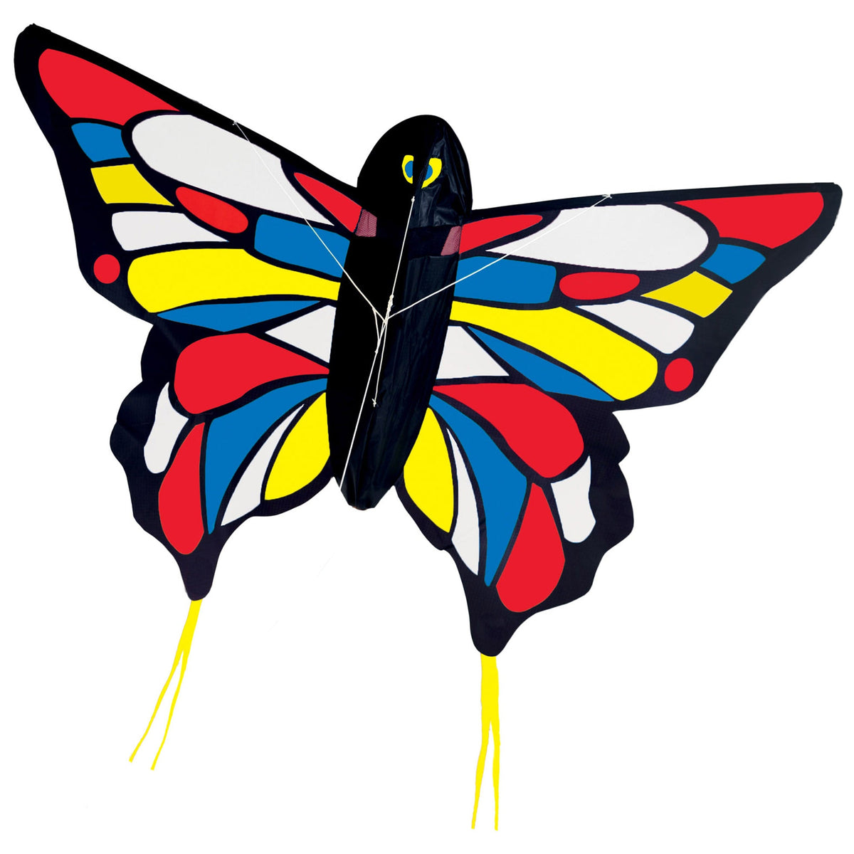 Educational Beautiful Butterfly Kite