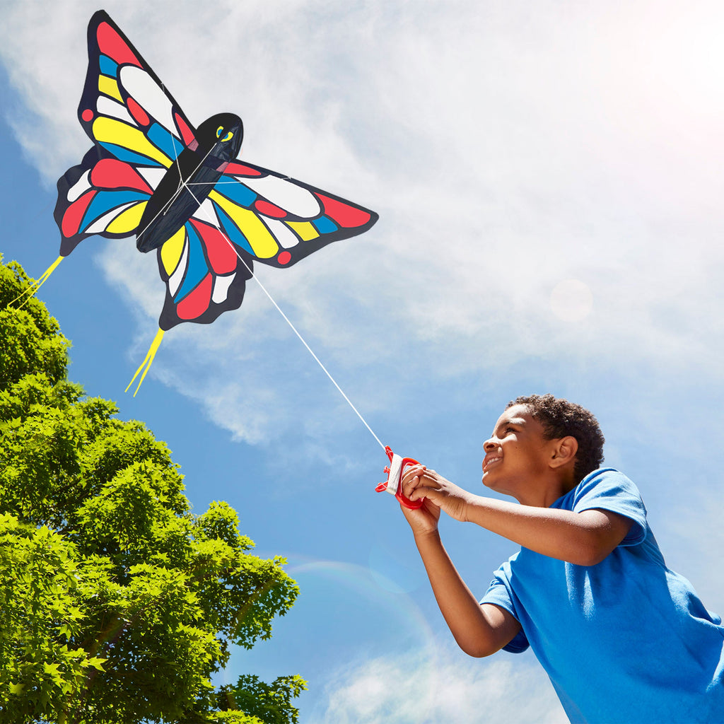 Educational Beautiful Butterfly Kite