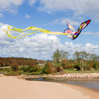 Educational Beautiful Butterfly Kite