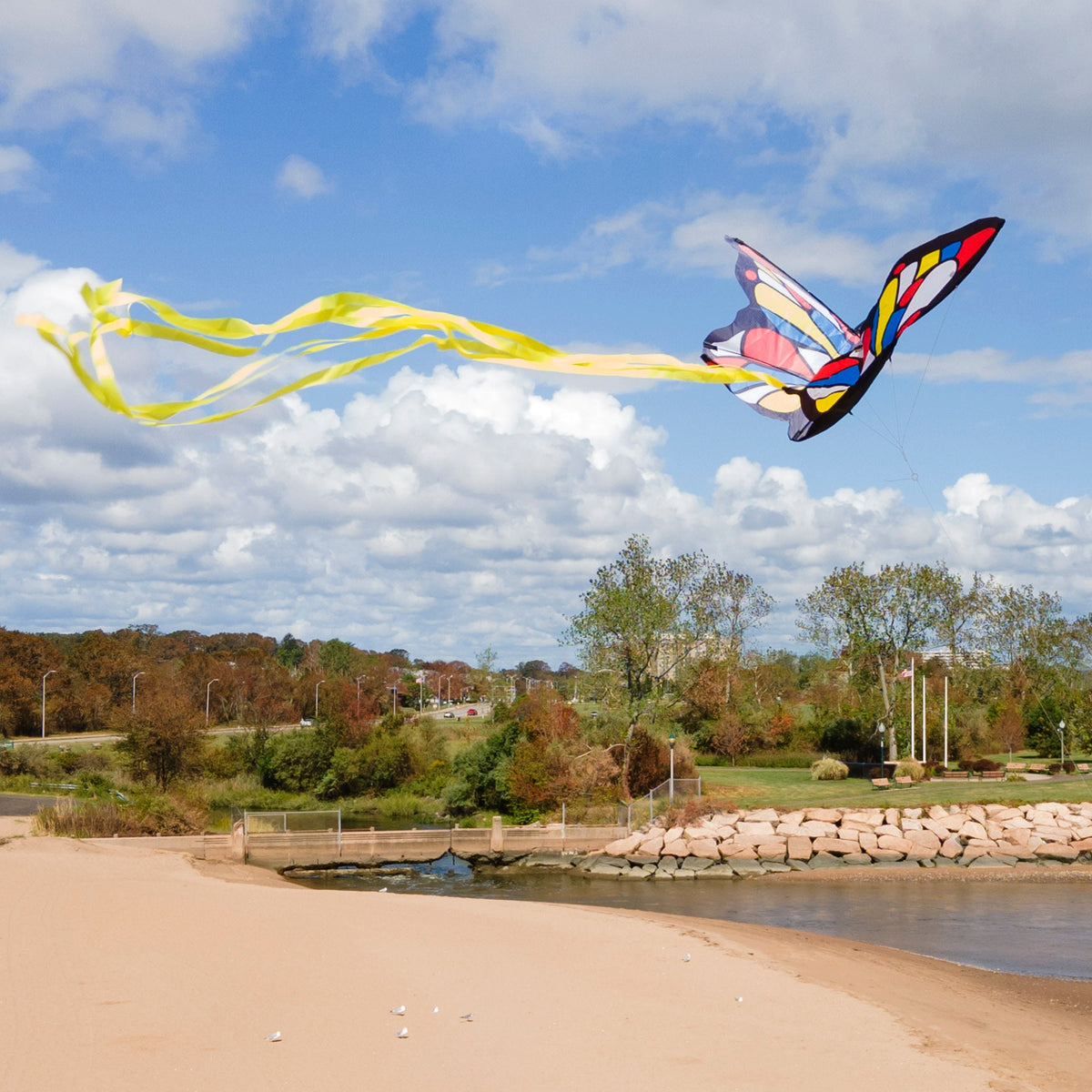 Educational Beautiful Butterfly Kite