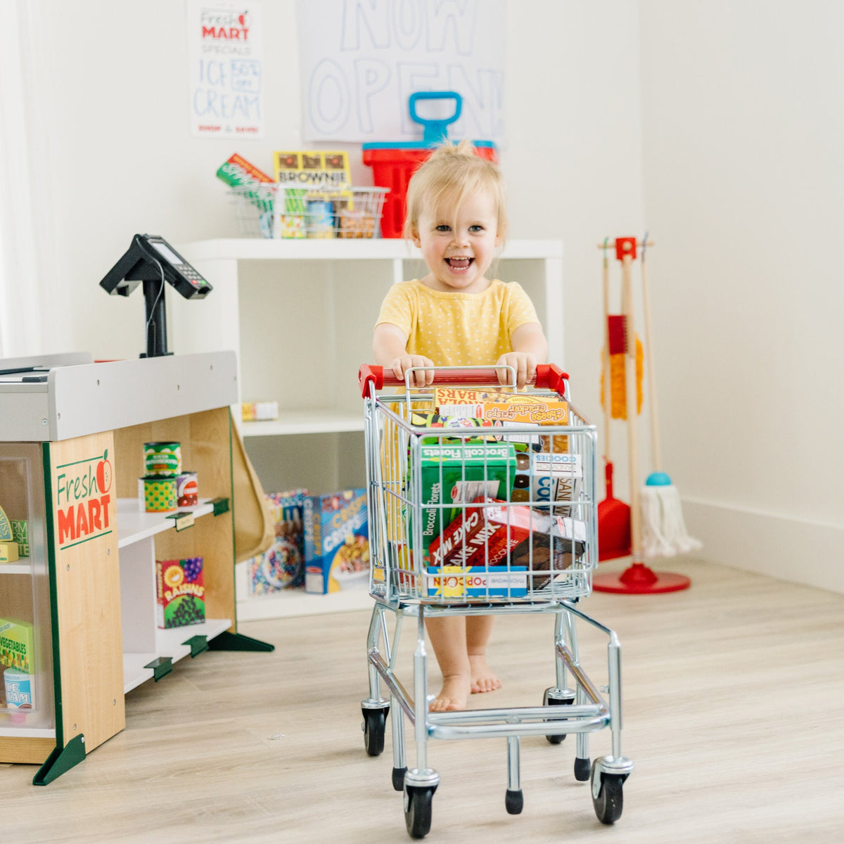 Educational Metal Grocery Shopping Cart Toy