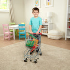 Educational Metal Grocery Shopping Cart Toy