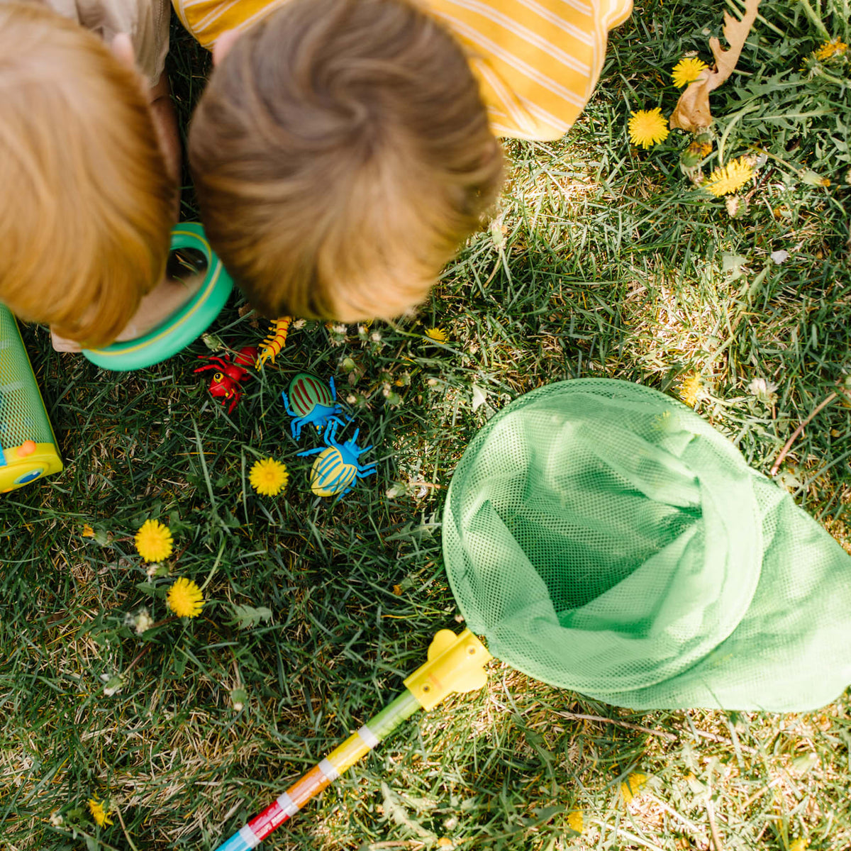Educational Bag of Bugs