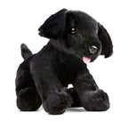 Educational Benson Black Lab Puppy Dog Stuffed Animal